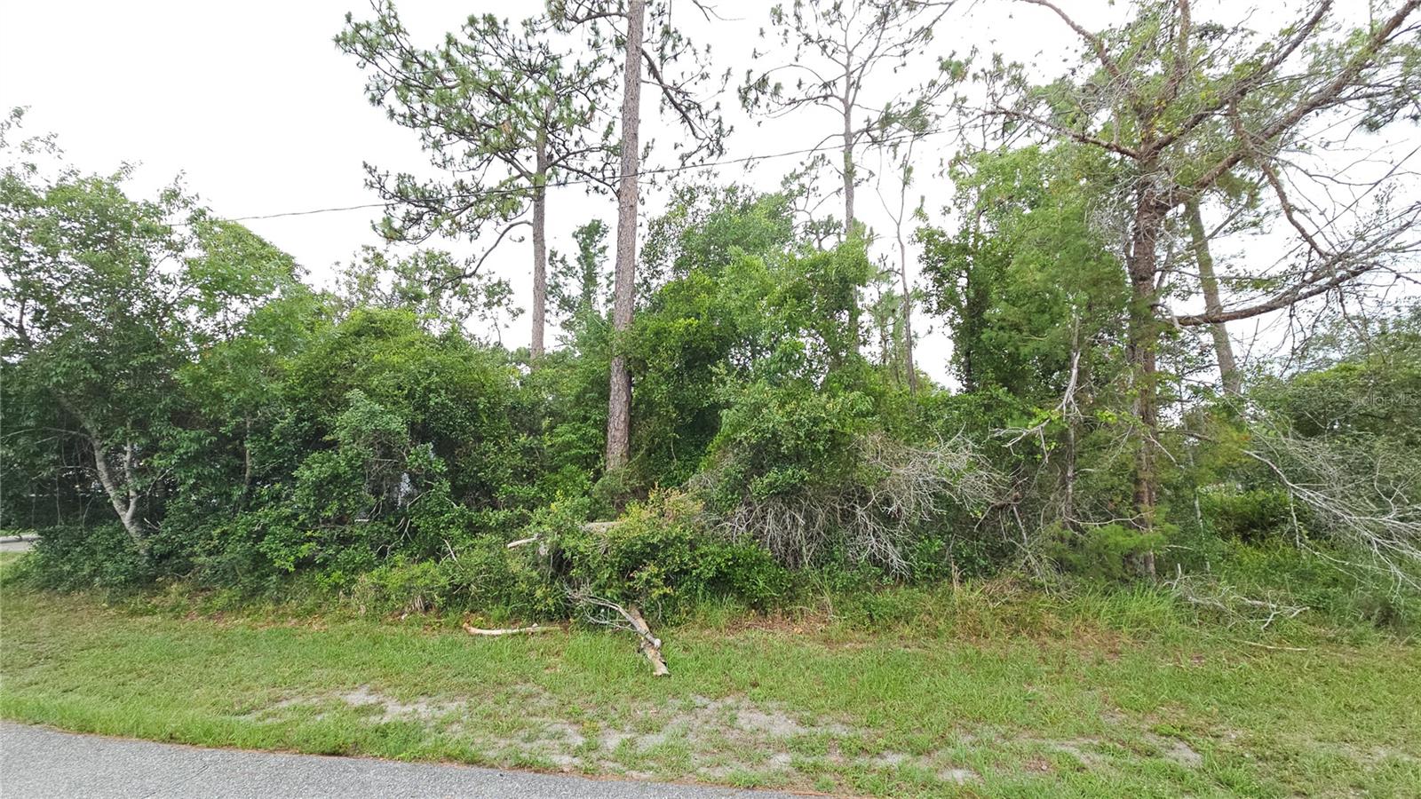 Homes for sale in Deltona, FL | 1349 Lodge Ter, Deltona, FL 32738 | MLS# V4943176