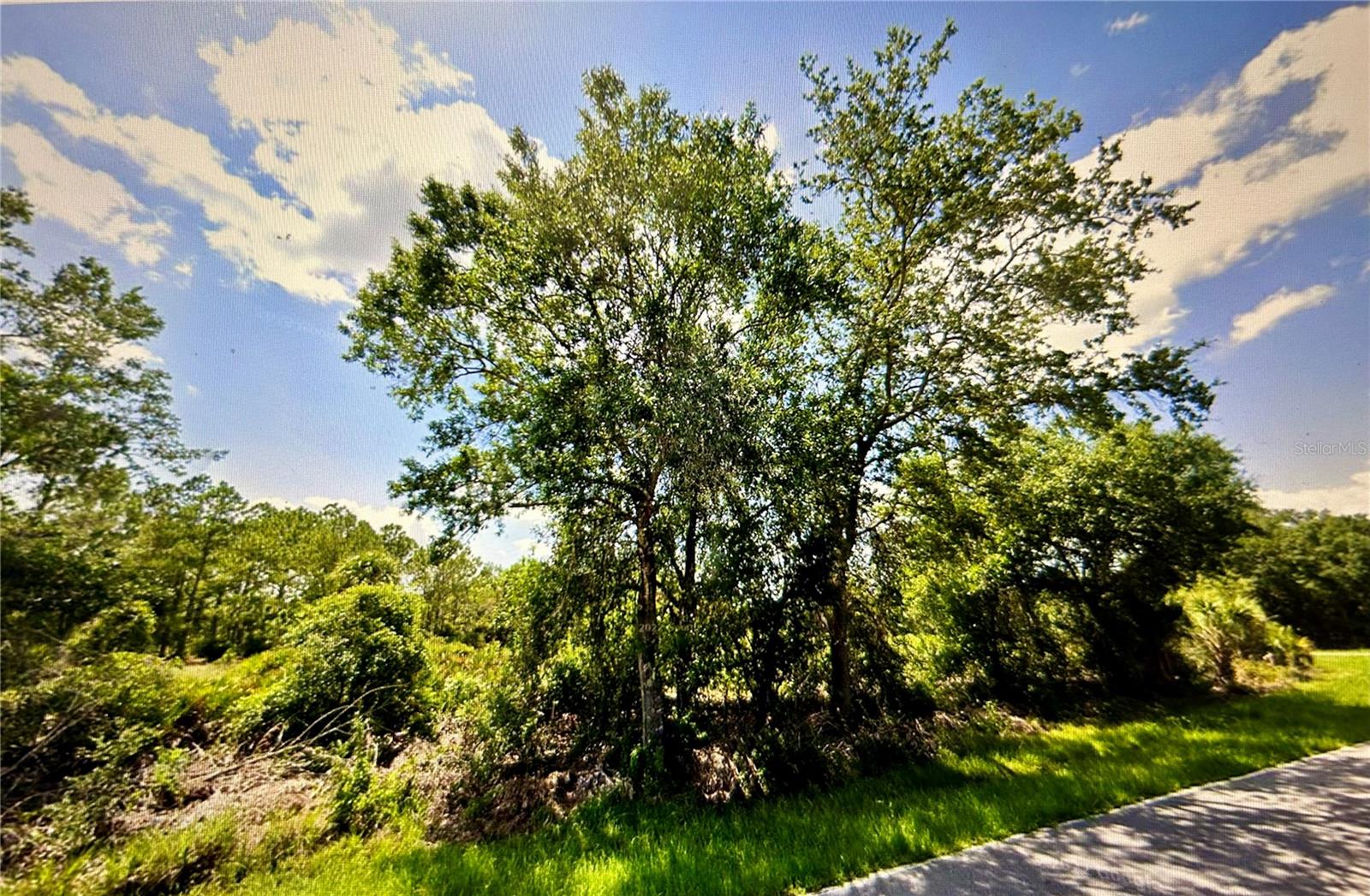 Homes for sale in Port Charlotte, FL | 22135 Doris Ave, Port Charlotte, FL 33954 | MLS# C7511006