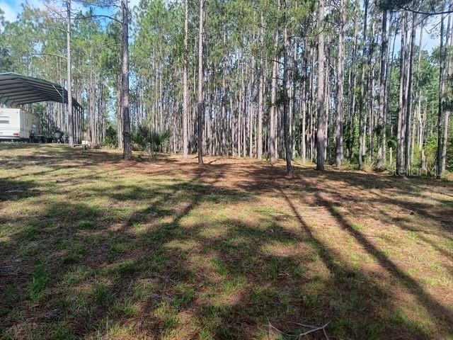 Homes for sale in Steinhatchee, FL | 540 Sw 326th Ave, Steinhatchee, FL 32359 | MLS# TB8400209