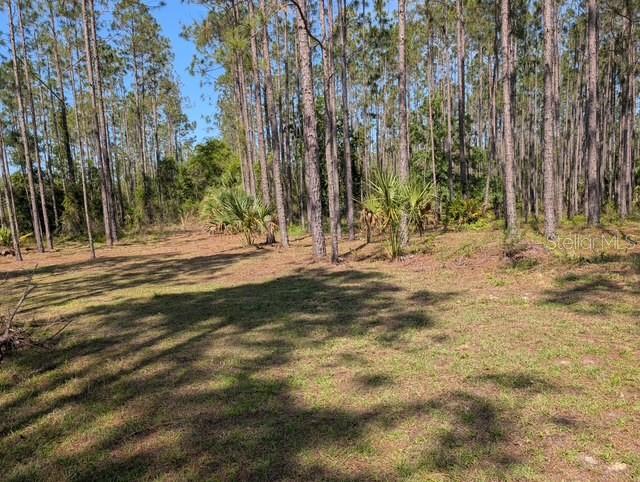 Homes for sale in Steinhatchee, FL | 540 Sw 326th Ave, Steinhatchee, FL 32359 | MLS# TB8400209