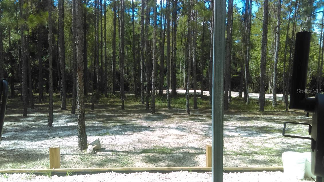 Homes for sale in Steinhatchee, FL | 540 Sw 326th Ave, Steinhatchee, FL 32359 | MLS# TB8400209