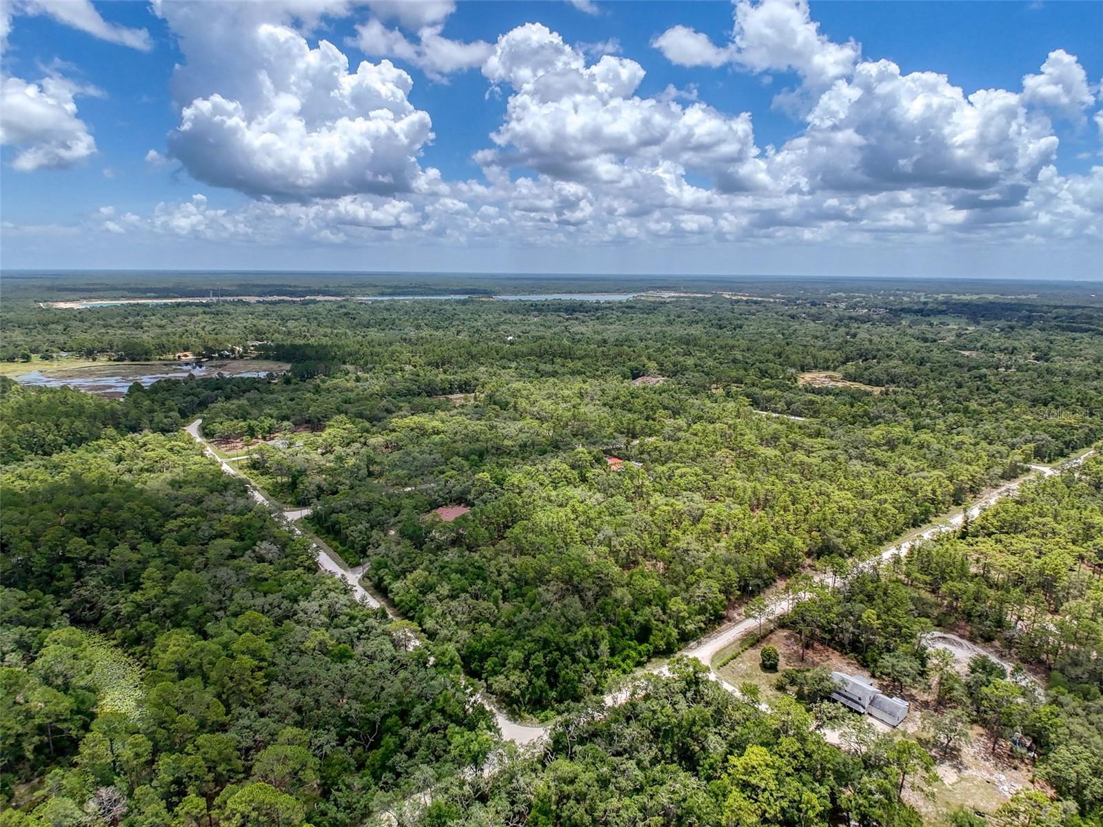 Homes for sale in Webster, FL | 7118 Norway St, Webster, FL 33597 | MLS# W7877024