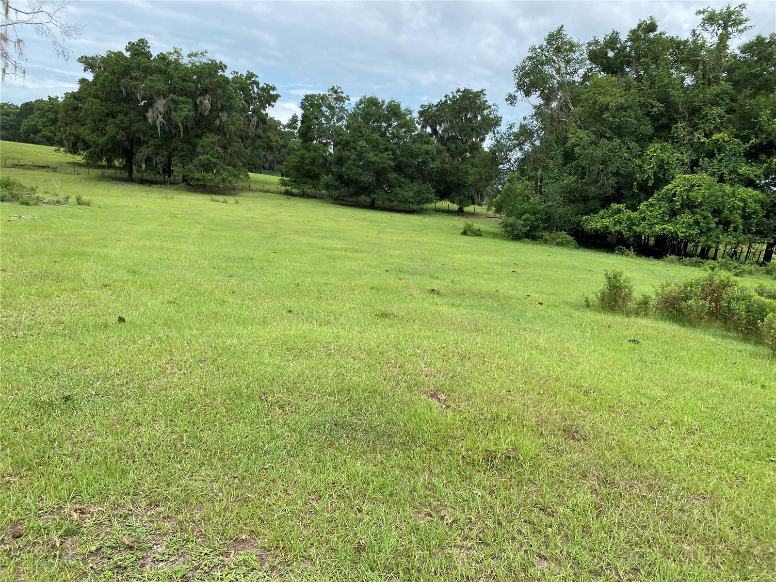 1st image of 1880 Ne 172nd Pl, Citra, FL 32113 | MLS# OM705338