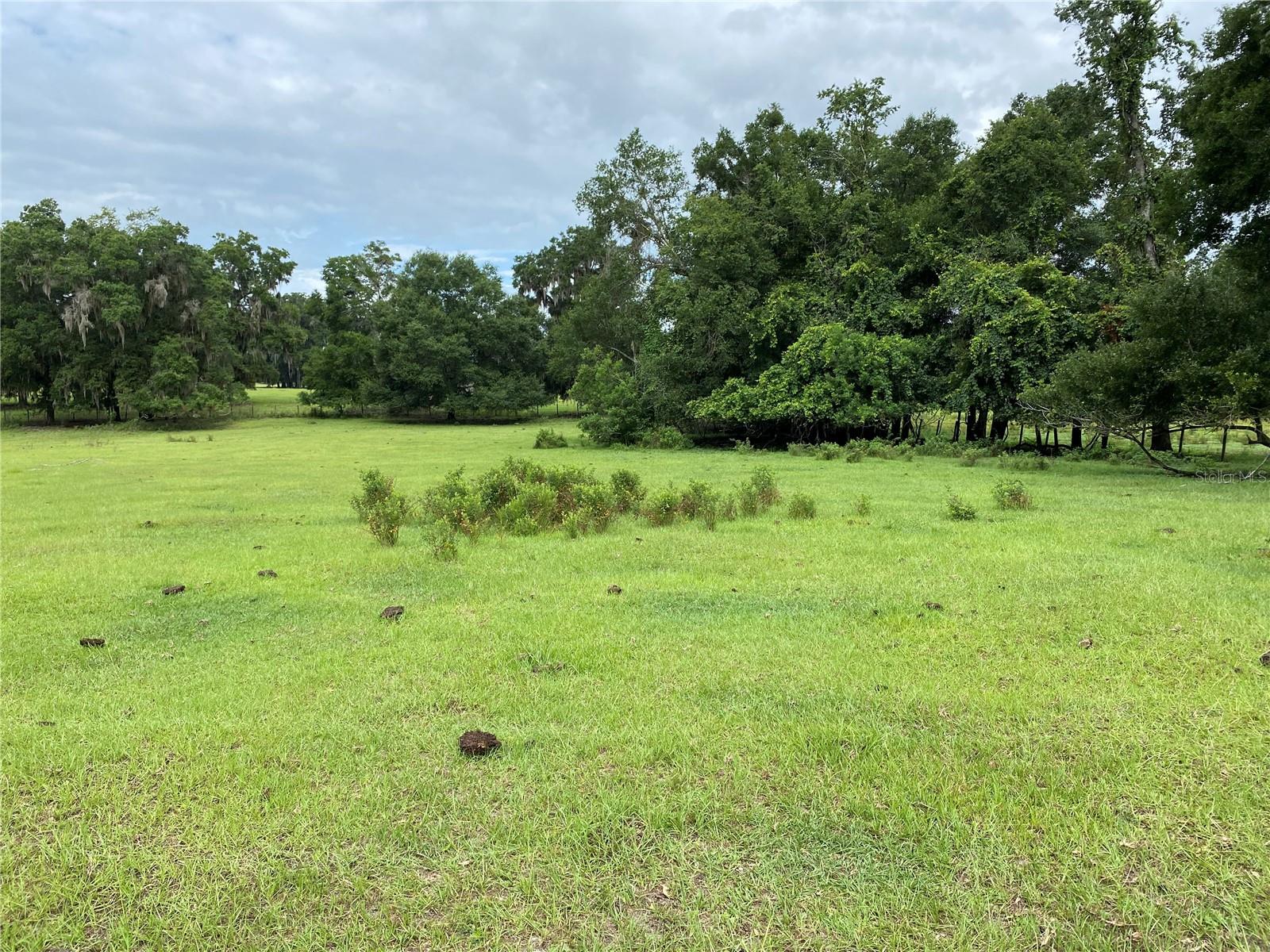 2nd image of 1880 Ne 172nd Pl, Citra, FL 32113 | MLS# OM705338