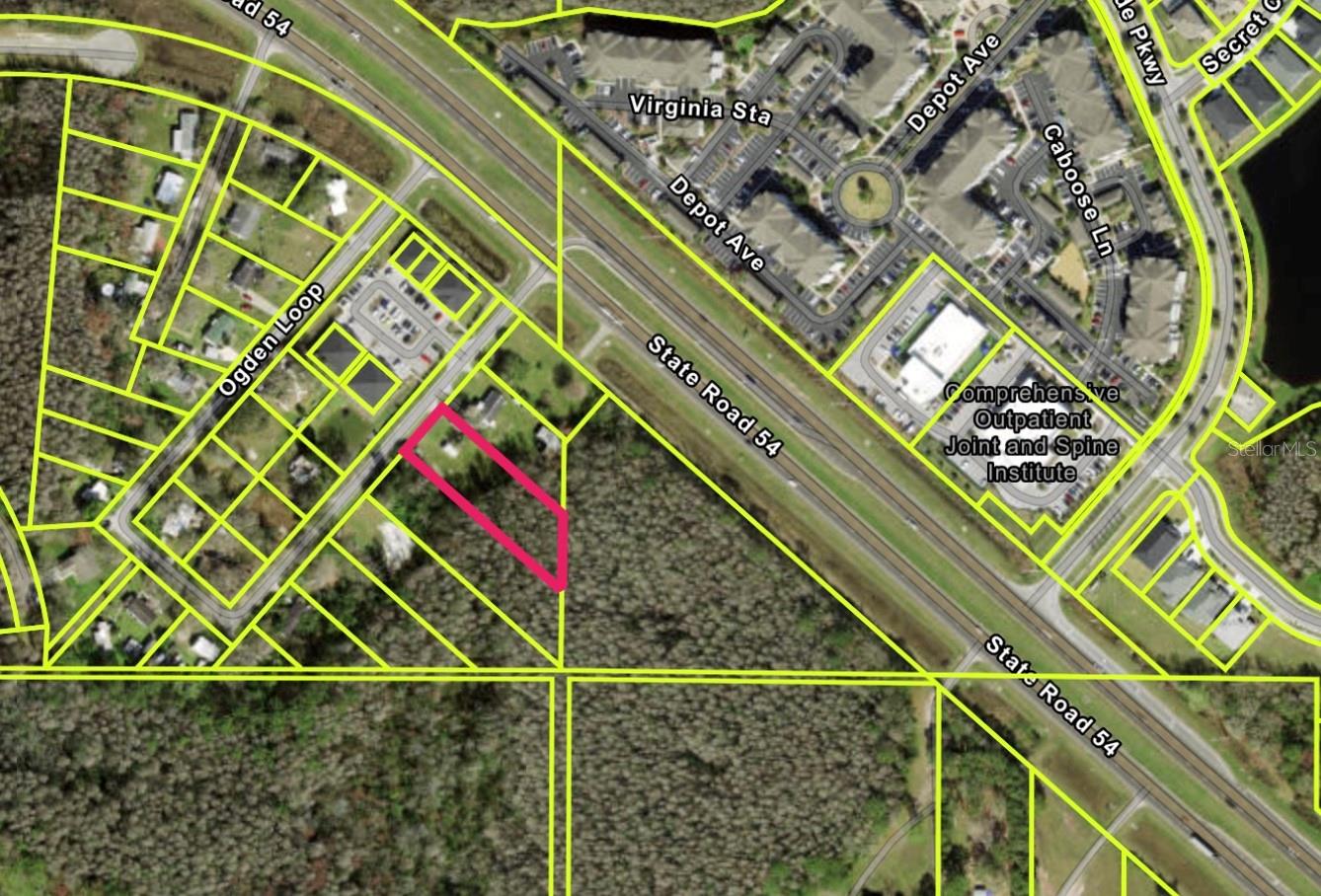 Homes for sale in Odessa, FL | 14969 Ogden Loop, Odessa, FL 33556 | MLS# TB8408110