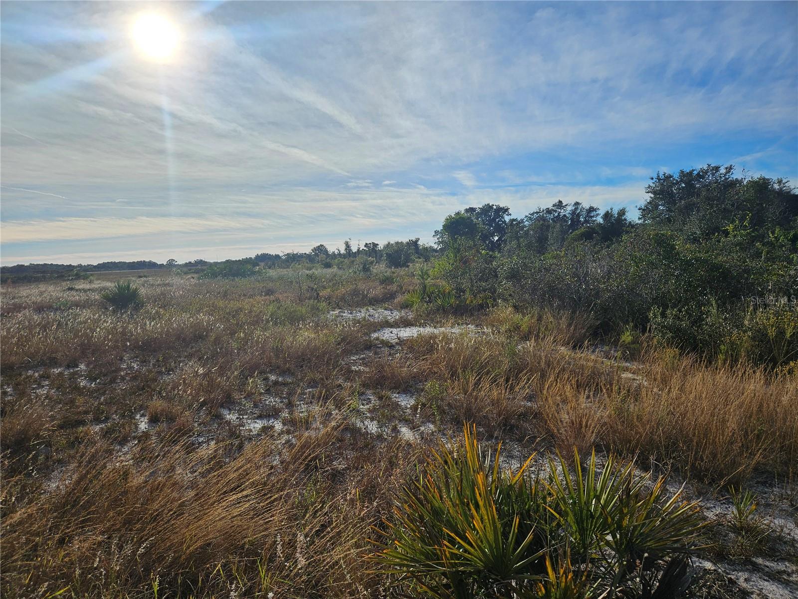 Homes for sale in Avon Park, FL | 625 S Reed Rd, Avon Park, FL 33825 | MLS# TB8422093