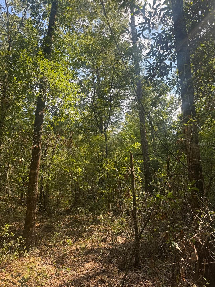 Homes for sale in Fort White, FL | Lot 43 Sw Kentucky St, Fort White, FL 32038 | MLS# GC533626