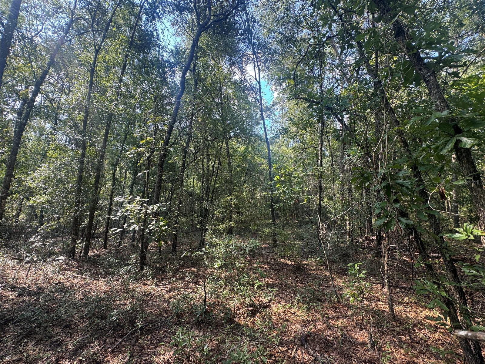 Homes for sale in Fort White, FL | Lot 44 Sw Kentucky St, Fort White, FL 32038 | MLS# GC533627