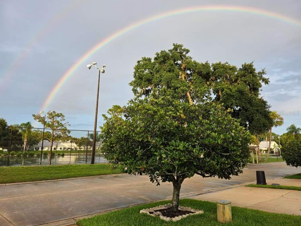 Homes for sale in New Smyrna Beach, FL | 367 Castlewood Ln, New Smyrna Beach, FL 32168 | MLS# NS1086186