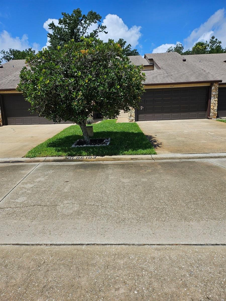 Homes for sale in New Smyrna Beach, FL | 367 Castlewood Ln, New Smyrna Beach, FL 32168 | MLS# NS1086186