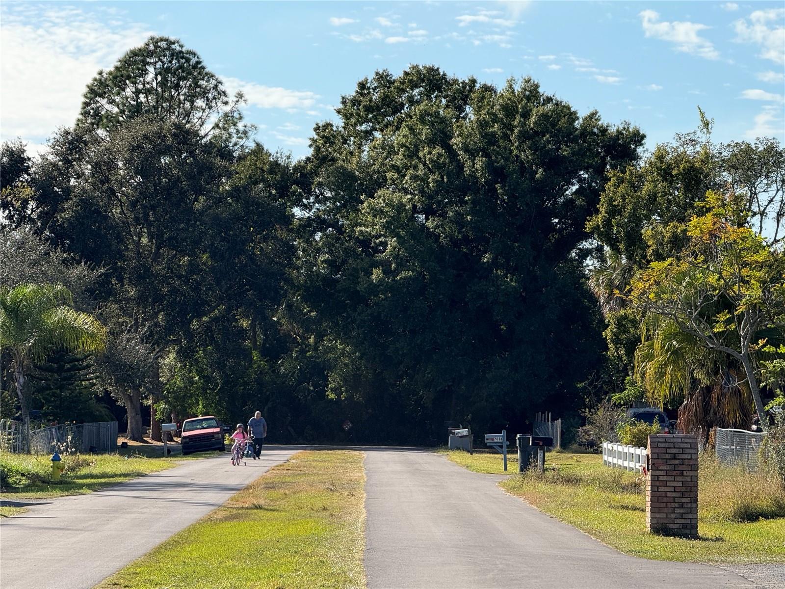 Homes for sale in Tampa, FL | 7013 S 51St Ave, Tampa, FL 33619 | MLS# TB8440201