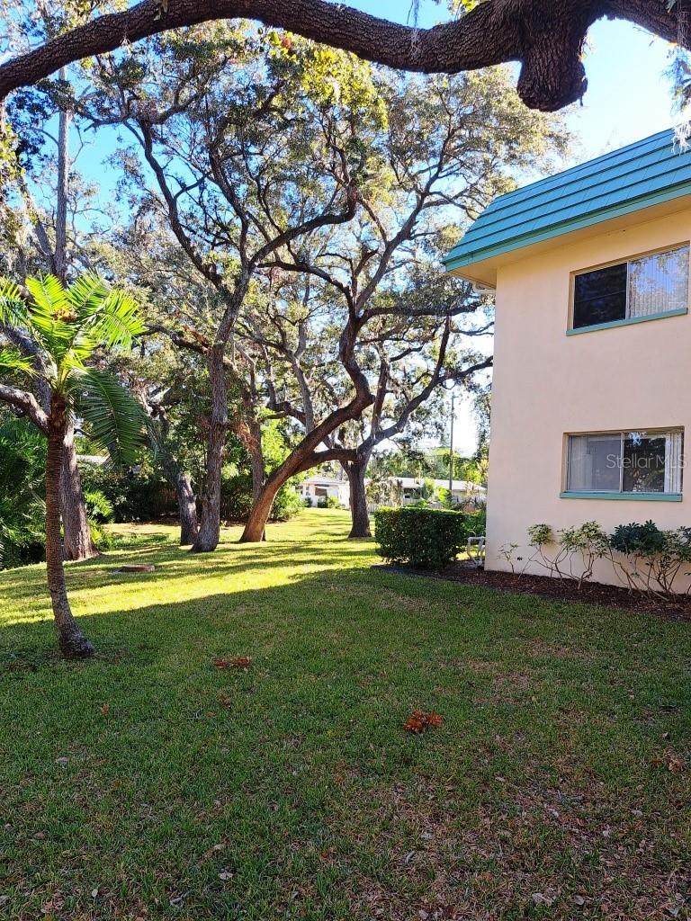 Homes for sale in Clearwater, FL | 2005 Greenbriar Blvd #1, Clearwater, FL 33763 | MLS# TB8441759