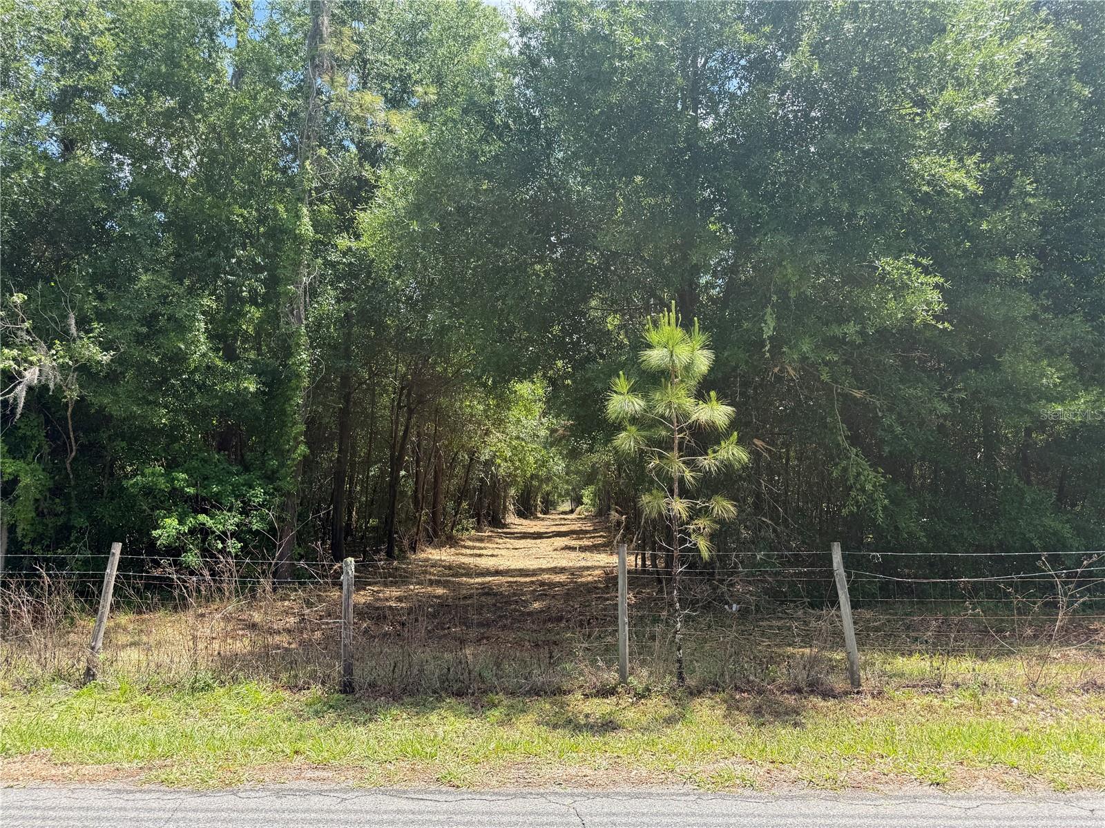 Homes for sale in Leesburg, FL | 32742 Whitney Rd, Leesburg, FL 34748 | MLS# O6355896