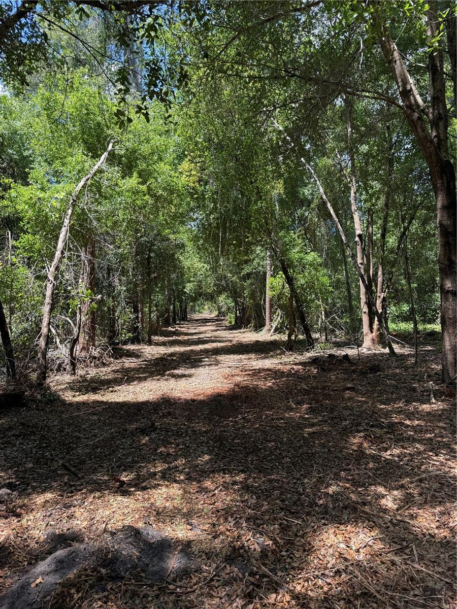 Homes for sale in Leesburg, FL | 32742 Whitney Rd, Leesburg, FL 34748 | MLS# O6355896