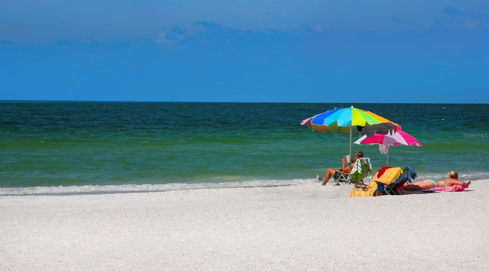 Homes for sale in University Park, FL | 6524 Copper Ridge Trl, University Park, FL 34201 | MLS# A4670362