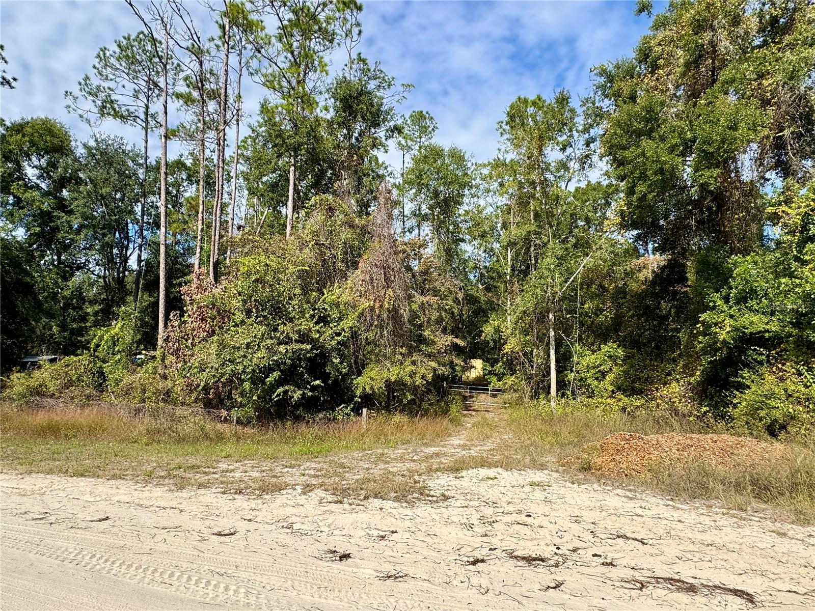 Homes for sale in Fort White, FL | Lot 46 Sw Kentucky St, Fort White, FL 32038 | MLS# GC535160