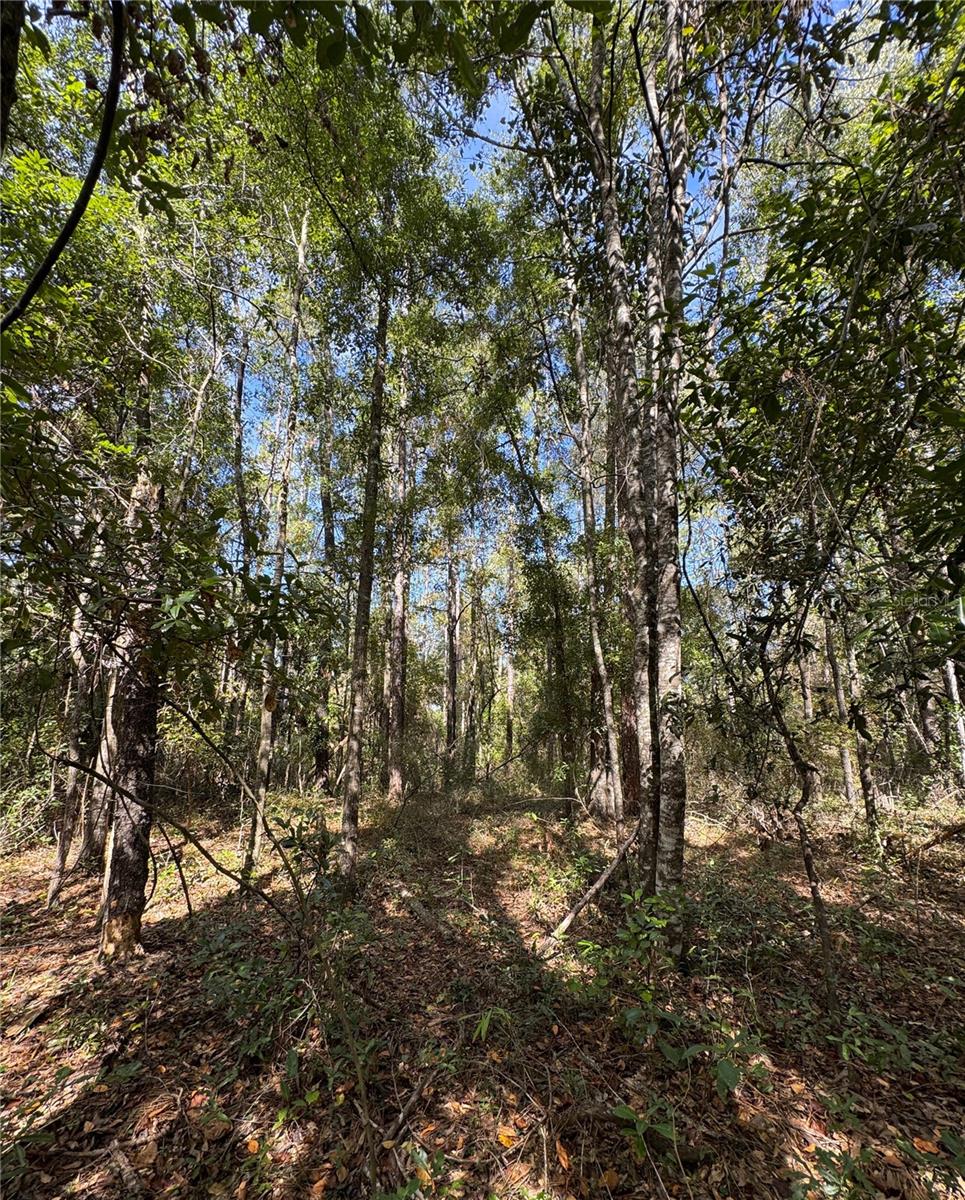 Homes for sale in Fort White, FL | Lot 45 Sw Kentucky St, Fort White, FL 32038 | MLS# GC535163