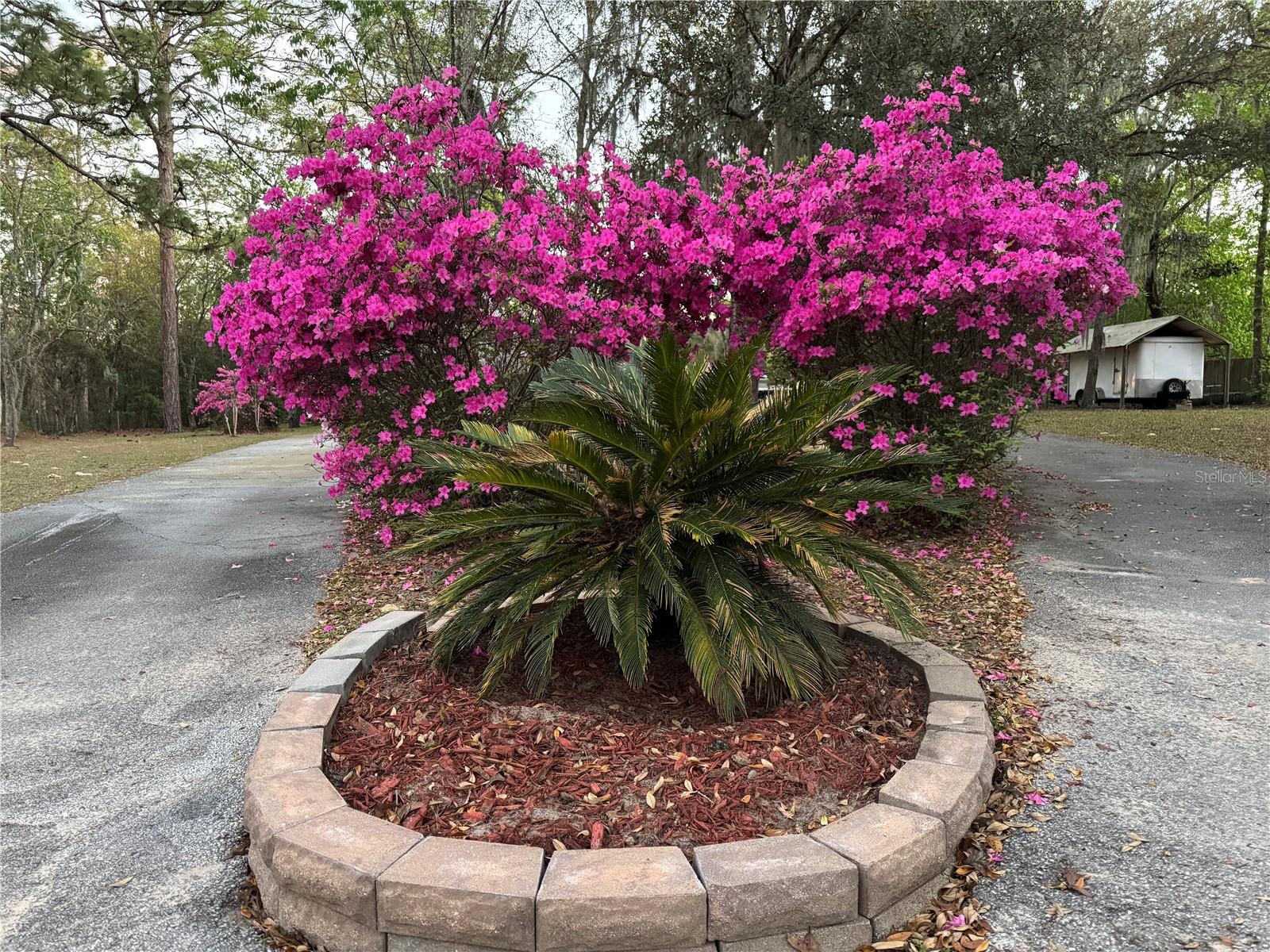 Homes for sale in Lecanto, FL | 4540 W Sandy Hill St, Lecanto, FL 34461 | MLS# OM712833