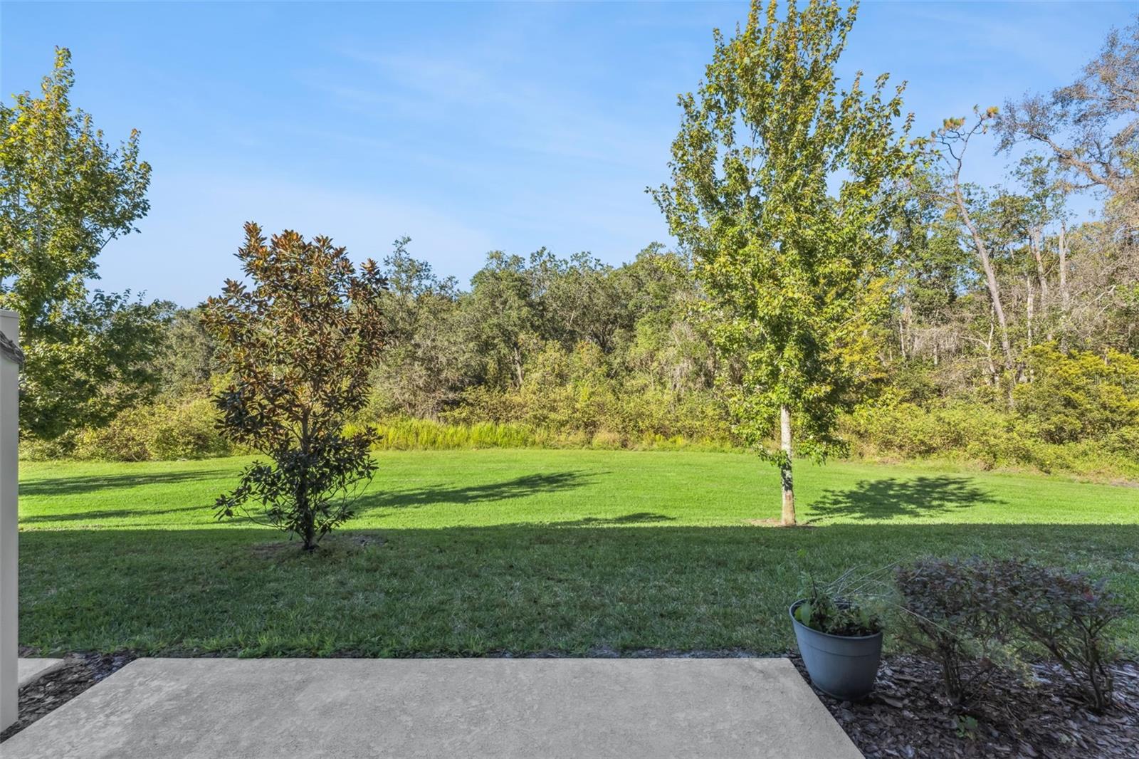 Homes for sale in Orlando, FL | 2093 Crystal Bell St, Orlando, FL 32824 | MLS# O6357730