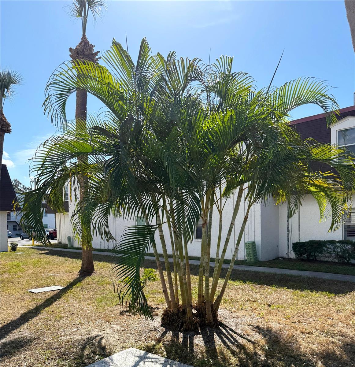 Homes for sale in Tampa, FL | 9002 Tudor Dr #K201, Tampa, FL 33615 | MLS# O6357756