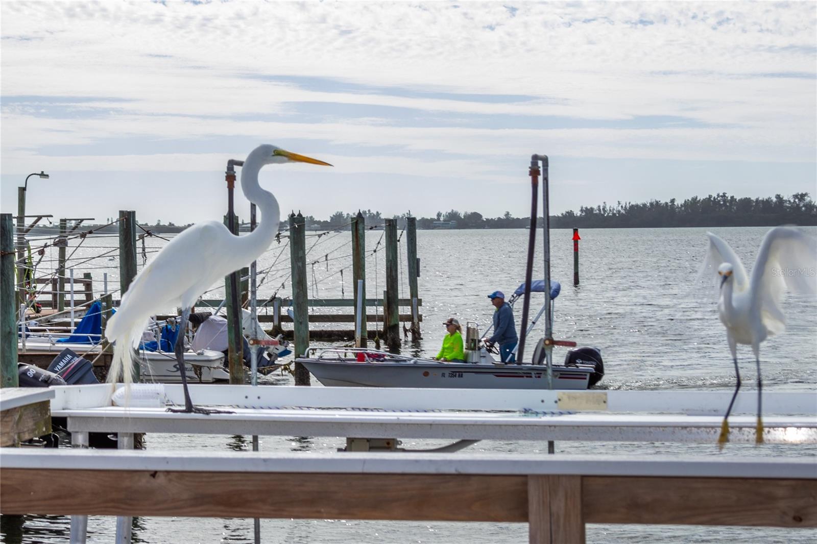 Homes for sale in Bradenton, FL | 10315 Cortez Rd W #4-4, Bradenton, FL 34210 | MLS# A4670979