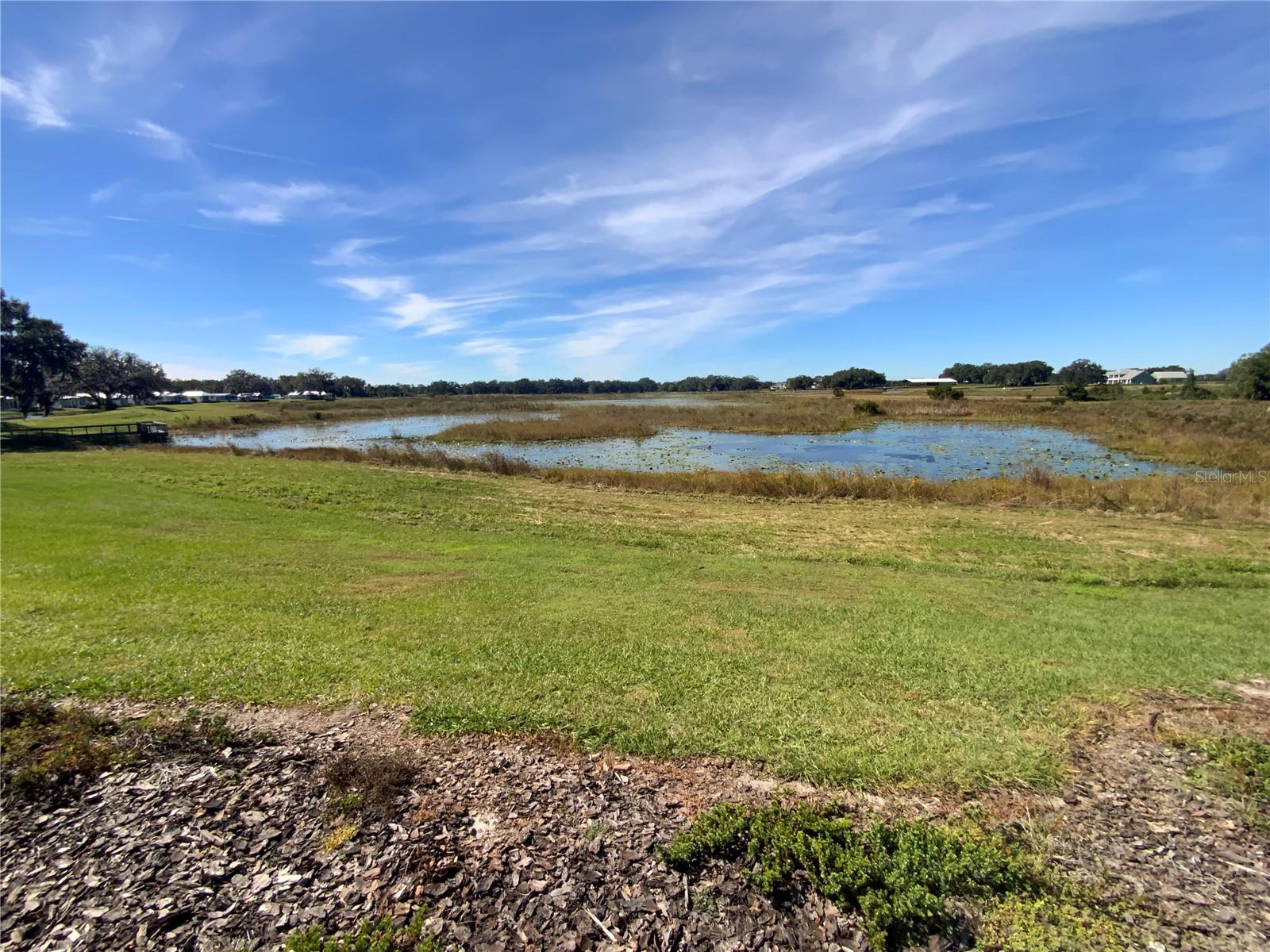 Homes for sale in Oxford, FL | 12103 Grand Oak Lane, Oxford, FL 34484 | MLS# G5104191