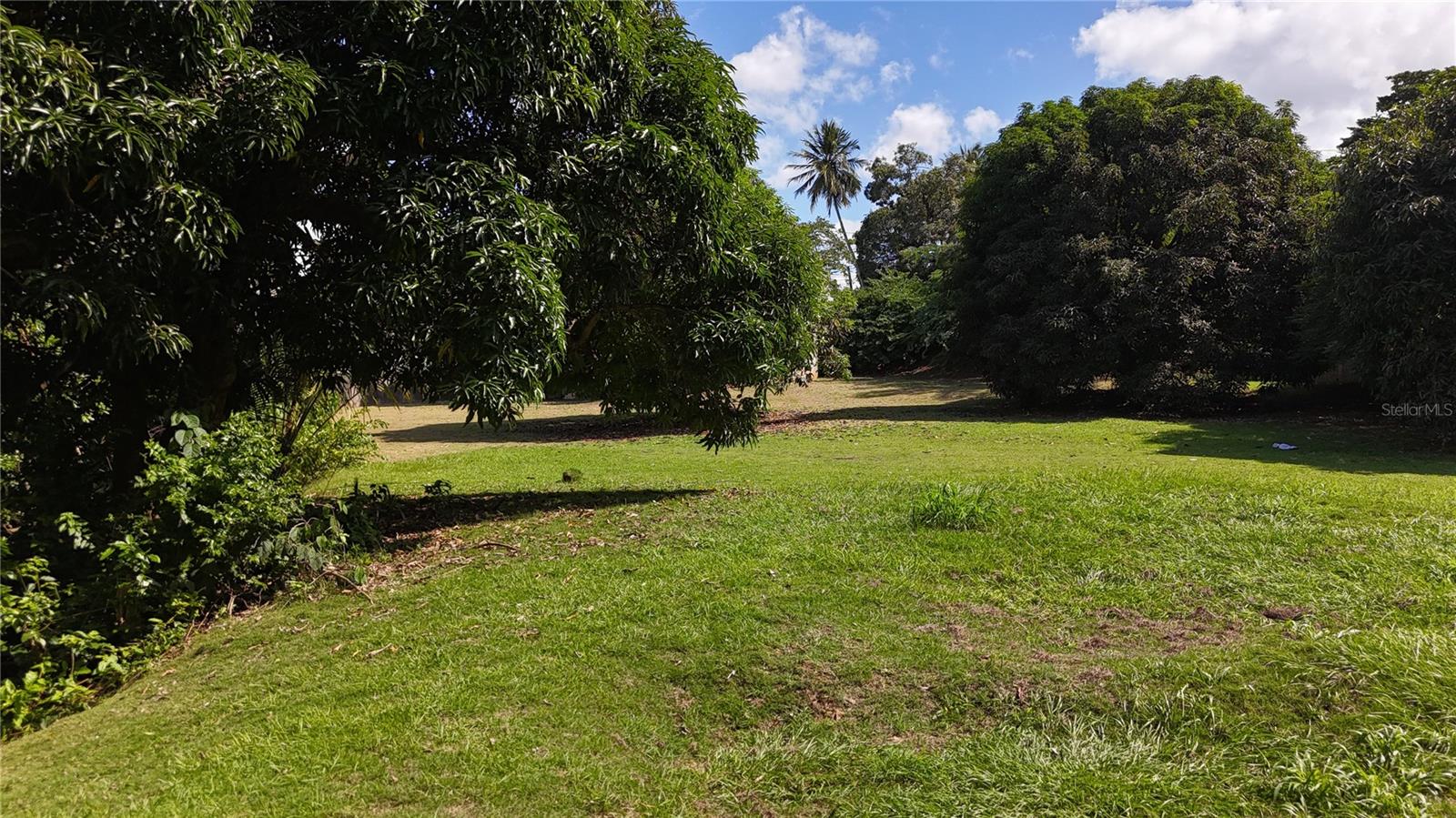 Homes for sale in Trujillo Alto, PR | Pr 876 Km 07 Bo Las Cuevas, Trujillo Alto, PR 00976 | MLS# PR9117267