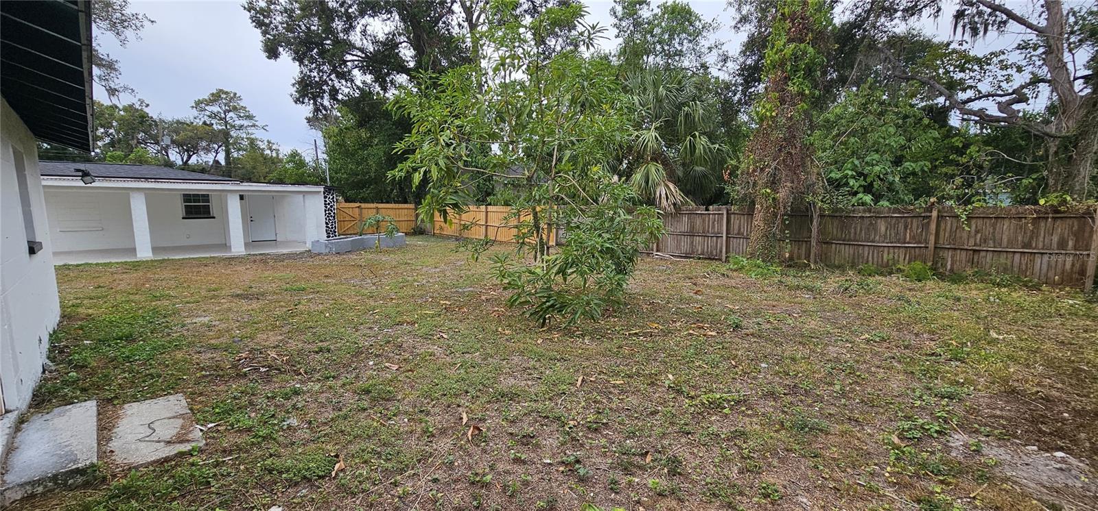 Homes for sale in Tampa, FL | 1506 E Poinsettia Ave, Tampa, FL 33612 | MLS# TB8446839