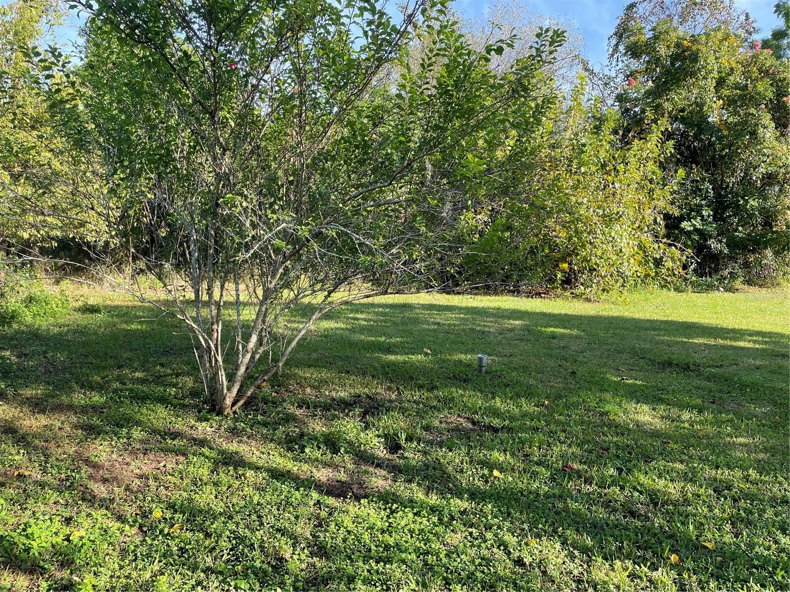 Homes for sale in Dade City, FL | 37243 Rose Ave, Dade City, FL 33523 | MLS# TB8446916