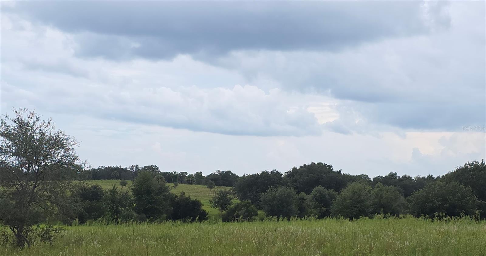 46th image of 4547 Glenn Saint Mary Rd, Lake Wales, FL 33898 | MLS# P4937190