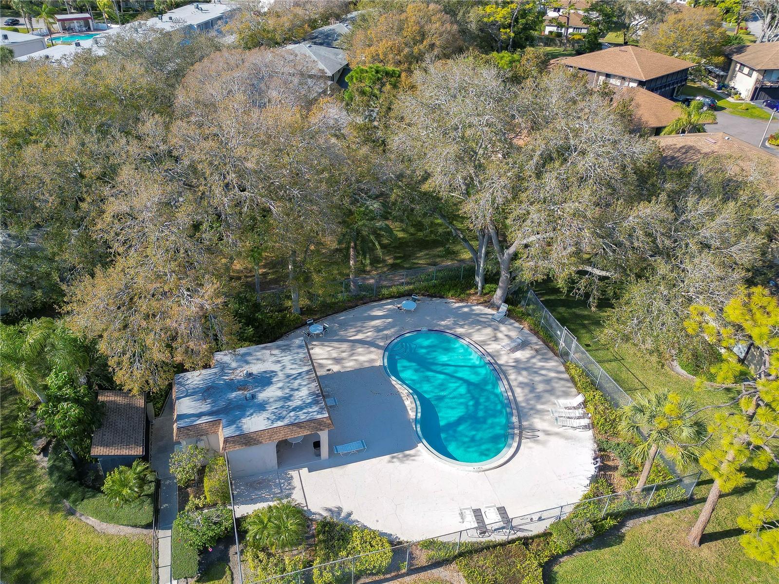 Homes for sale in Clearwater, FL | 2926 Lichen Ln #A, Clearwater, FL 33760 | MLS# TB8453654