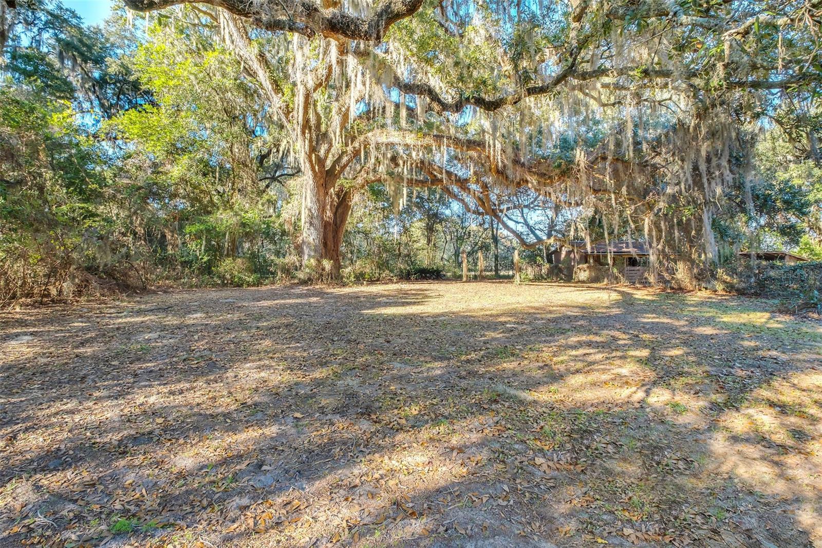 Homes for sale in Tallahassee, FL | 1932 Queenswood Dr, Tallahassee, FL 32303 | MLS# TB8456753