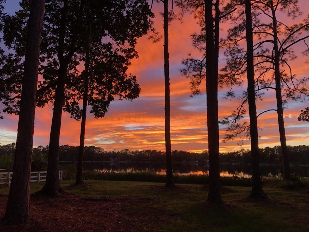 Homes for sale in Hawthorne, FL | 161 Riley Lake Dr, Hawthorne, FL 32640 | MLS# OM715297