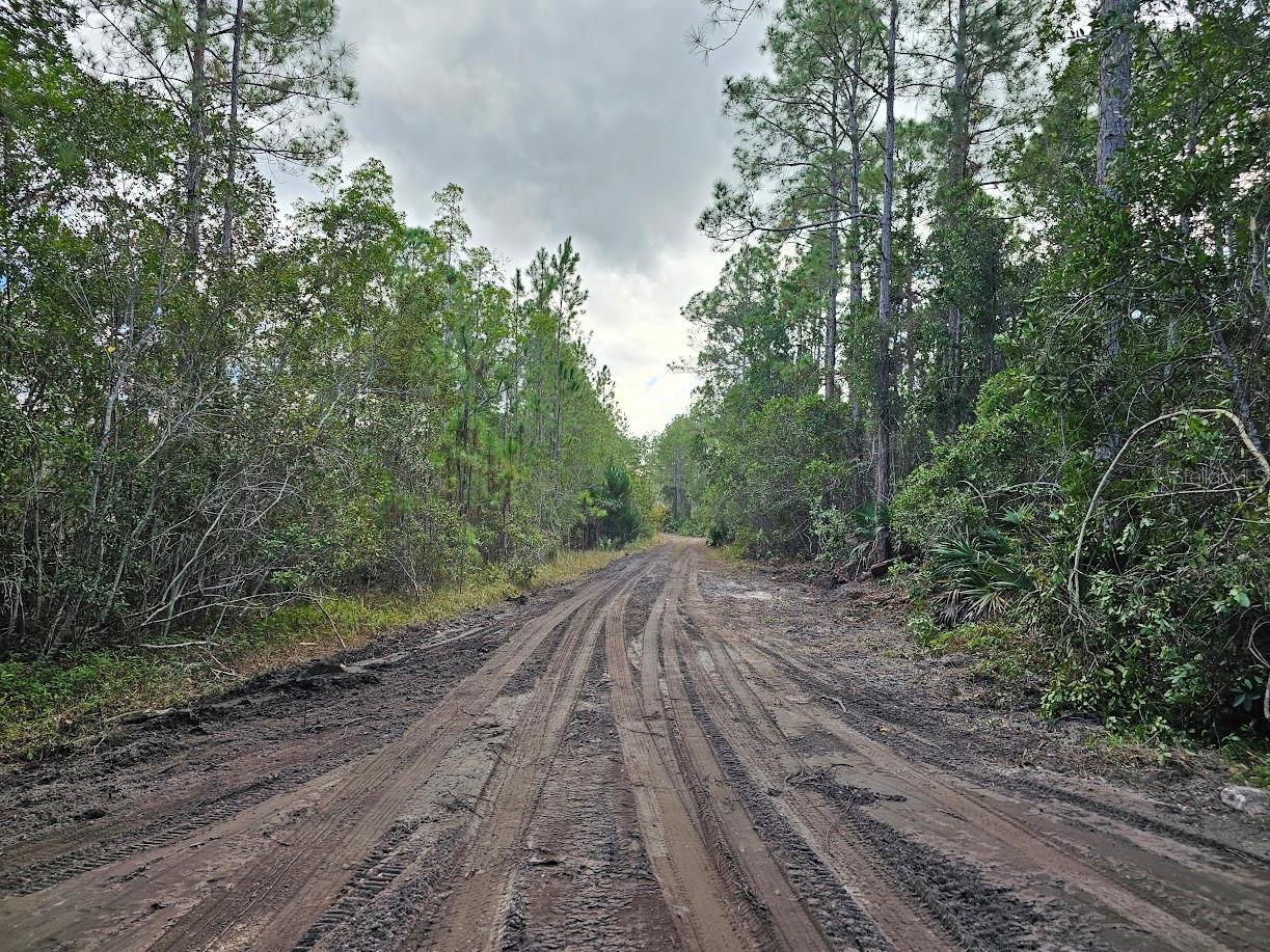 Homes for sale in Pierson, FL | 804 Shell Harbor Rd, Pierson, FL 32180 | MLS# R4910423