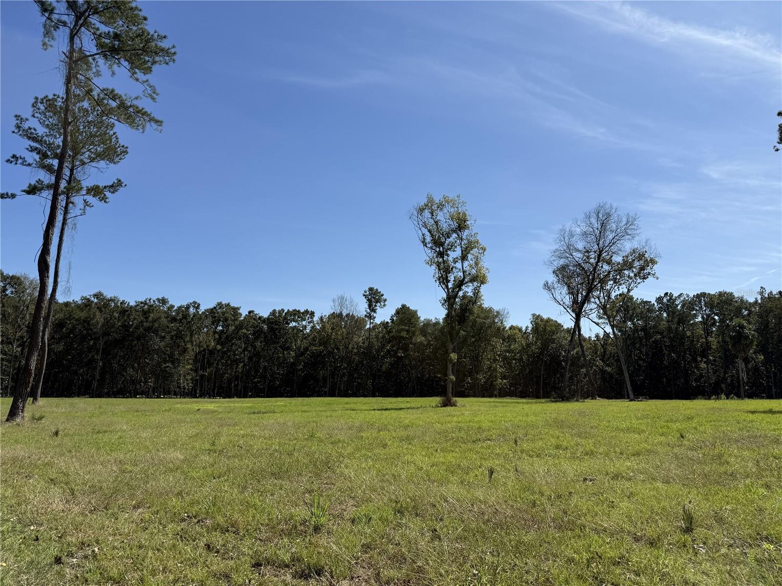 Homes for sale in Micanopy, FL | Do #6 (24ac) Nw 193rd St, Micanopy, FL 32667 | MLS# OM715404