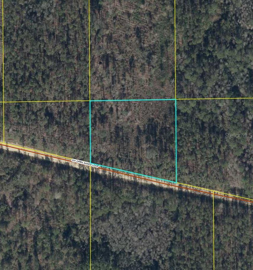 Homes for sale in Greenville, FL | Tbd Sw Open Sands Loop, Greenville, FL 32331 | MLS# TB8458000