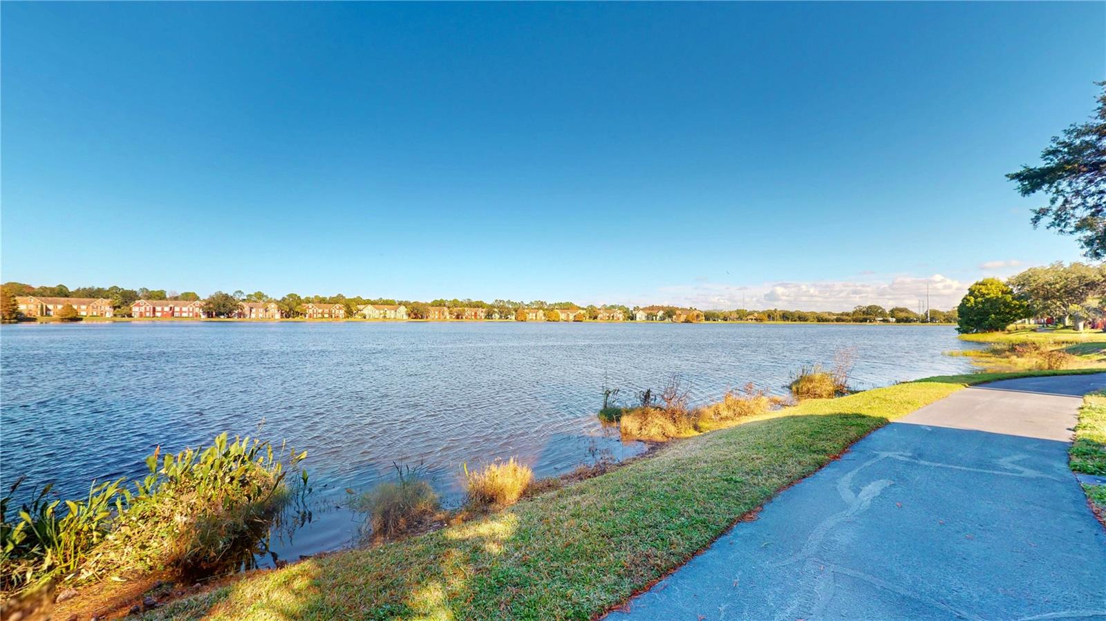 Homes for sale in Tampa, FL | 9554 Lake Chase Island Way #9554, Tampa, FL 33626 | MLS# TB8458013