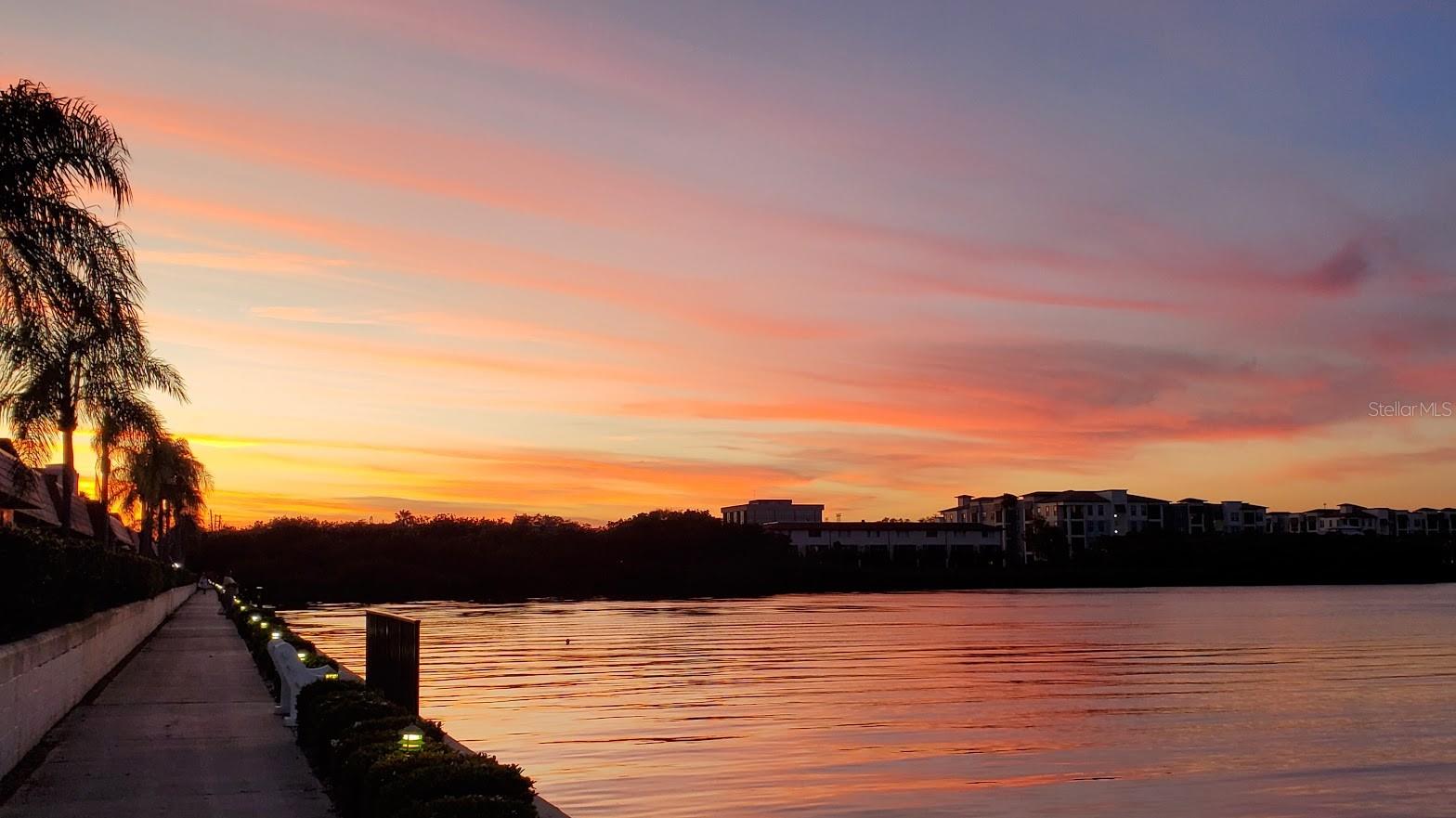 Homes for sale in Clearwater, FL | 19029 Us Hwy 19 N #28B, Clearwater, FL 33764 | MLS# TB8458167