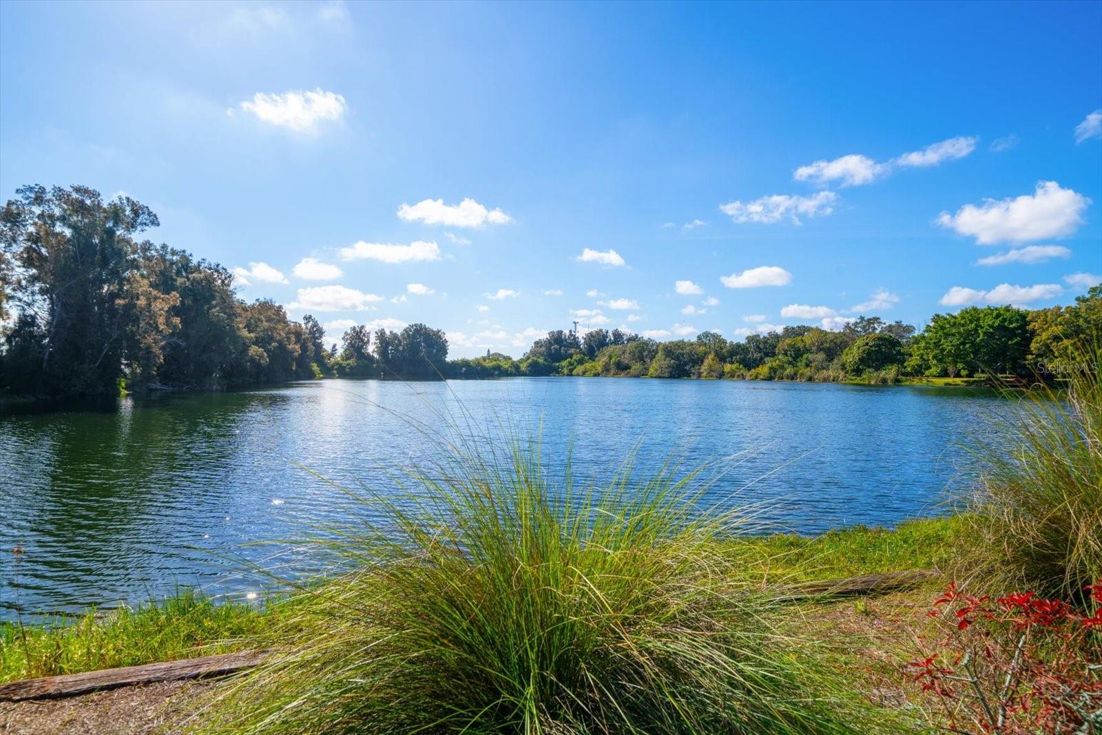 3rd image of 2402 Pine Hammock, Clearwater, FL 33764 | MLS# TB8463686