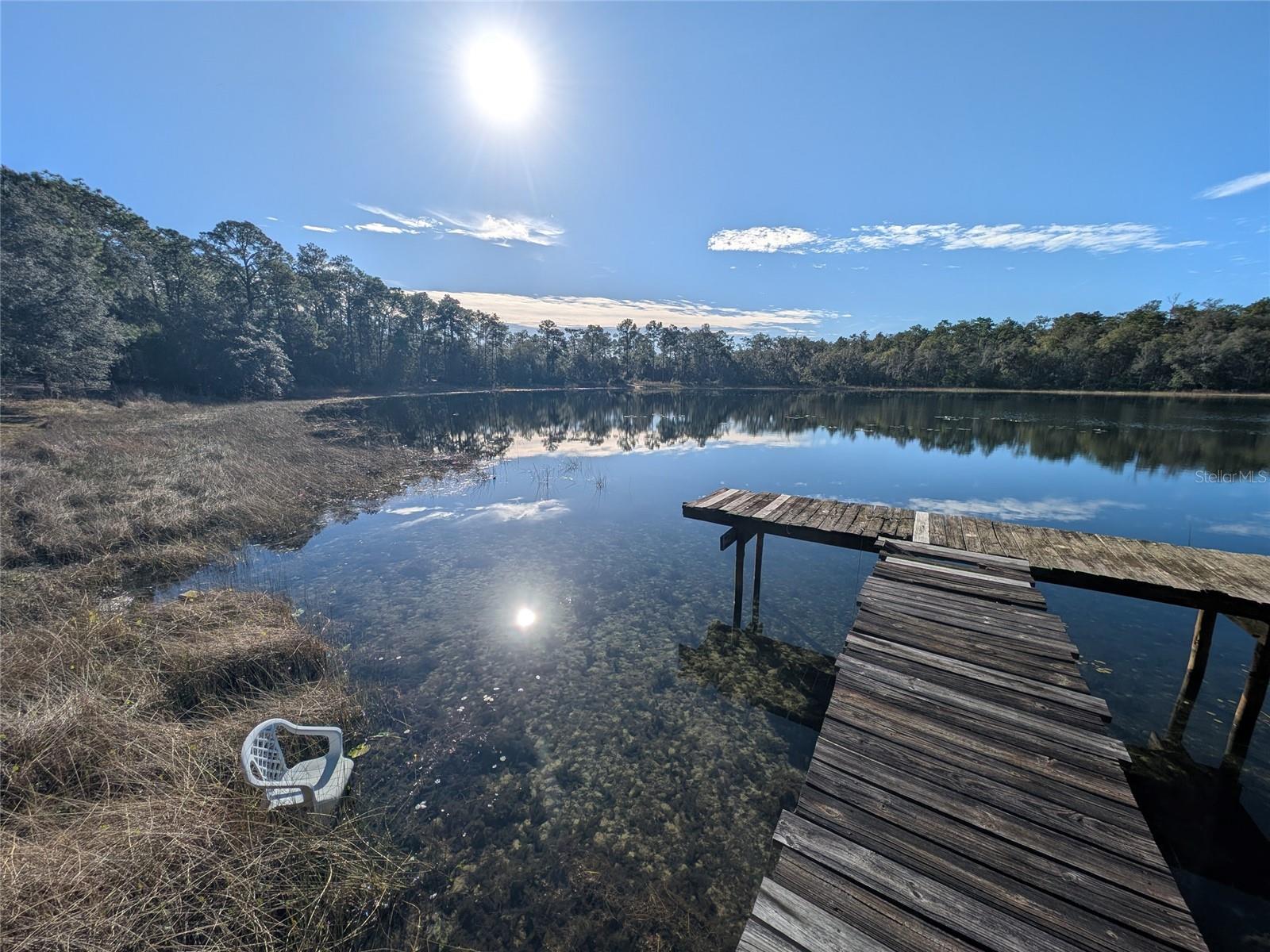 88th image of 14730 Se 61st Street Rd, Ocklawaha, FL 32179 | MLS# OM717239