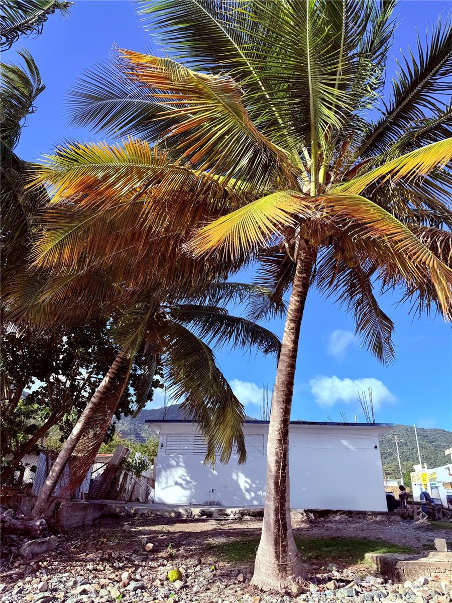 Homes for sale in Patillas, PR | 3 Route #KM 114.9, Patillas, PR 00723 | MLS# PR9118798