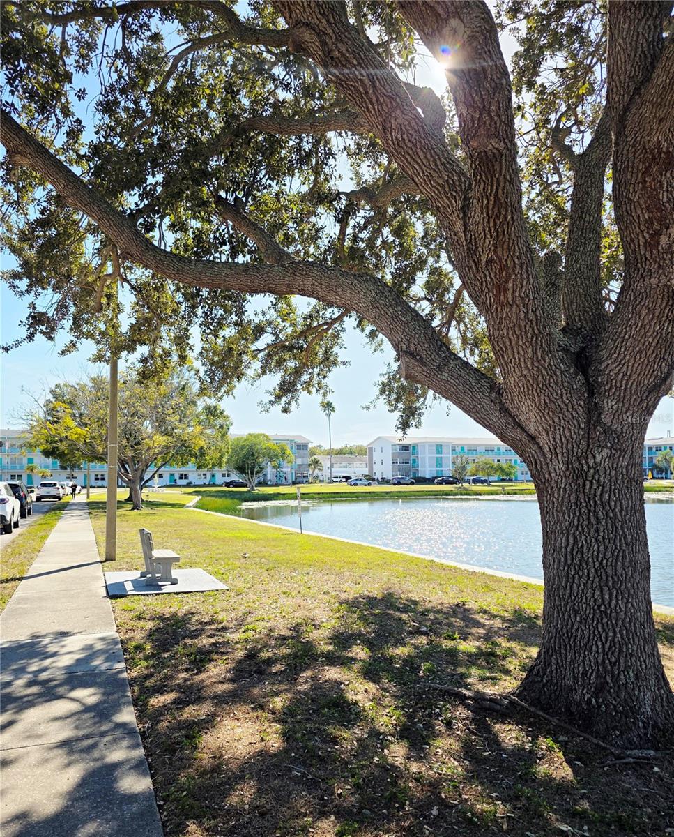 Homes for sale in St Petersburg, FL | 5945 21st St N #18, St Petersburg, FL 33714 | MLS# TB8469043