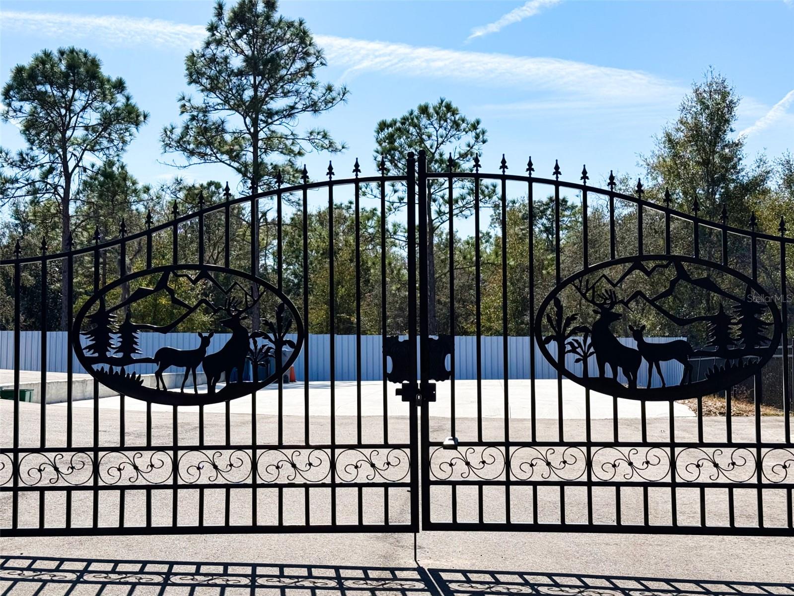 Homes for sale in Webster, FL | 34370 Richardson Blvd, Webster, FL 33597 | MLS# G5107574