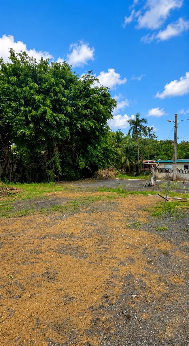 Homes for sale in Carolina, PR | Cta Abajo Bo Barrazas, Carolina, PR 00987 | MLS# PR9118974