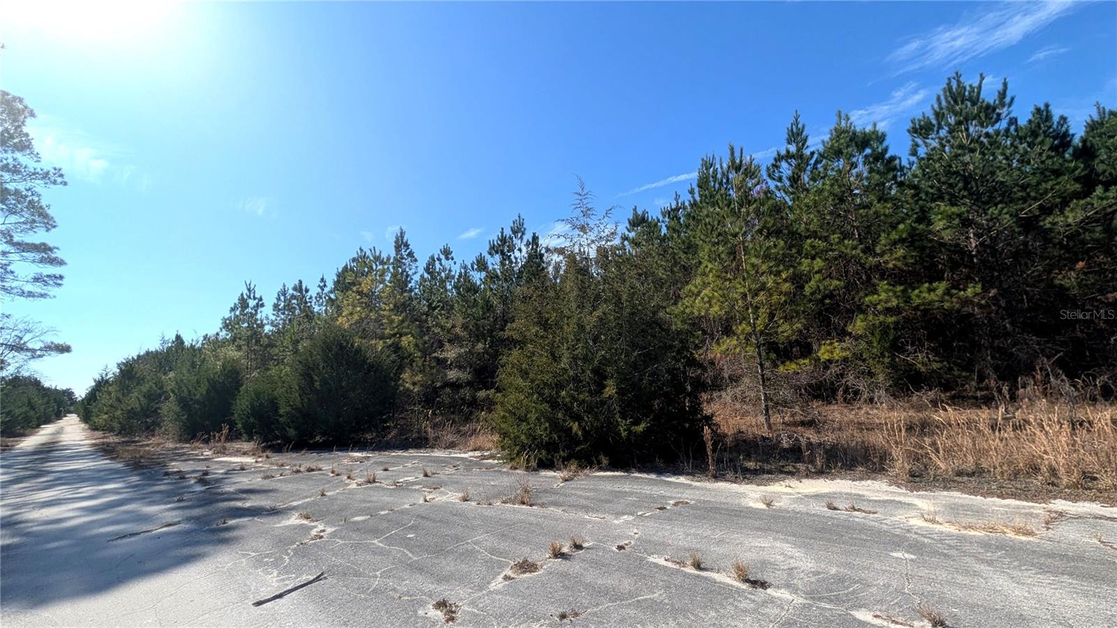 Homes for sale in Chiefland, FL | 13550 Nw Old Fannin Rd, Chiefland, FL 32626 | MLS# OM717918