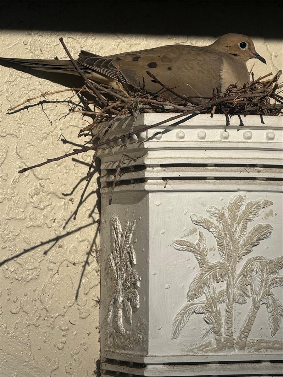 Homes for sale in Clermont, FL | 8701 Village Green Blvd, Clermont, FL 34711 | MLS# G5108118