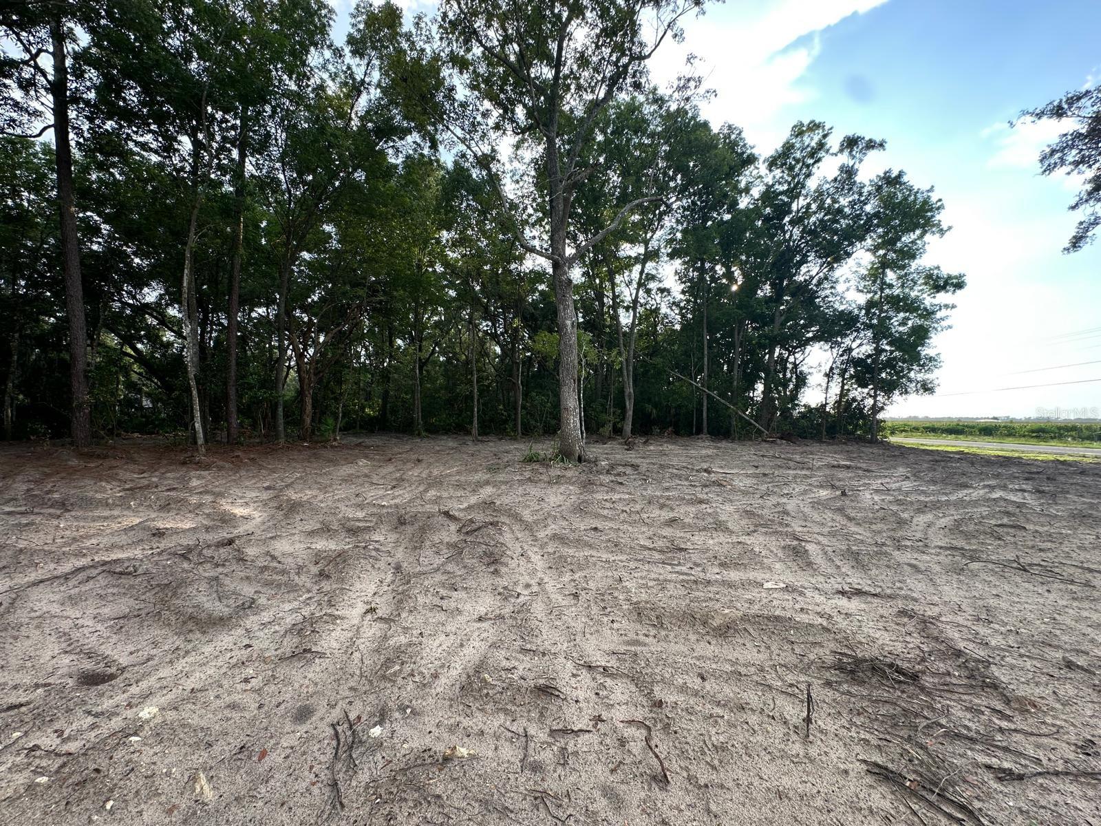 Homes for sale in Chiefland, FL | 00 Nw 115Th St, Chiefland, FL 32626 | MLS# O6383111