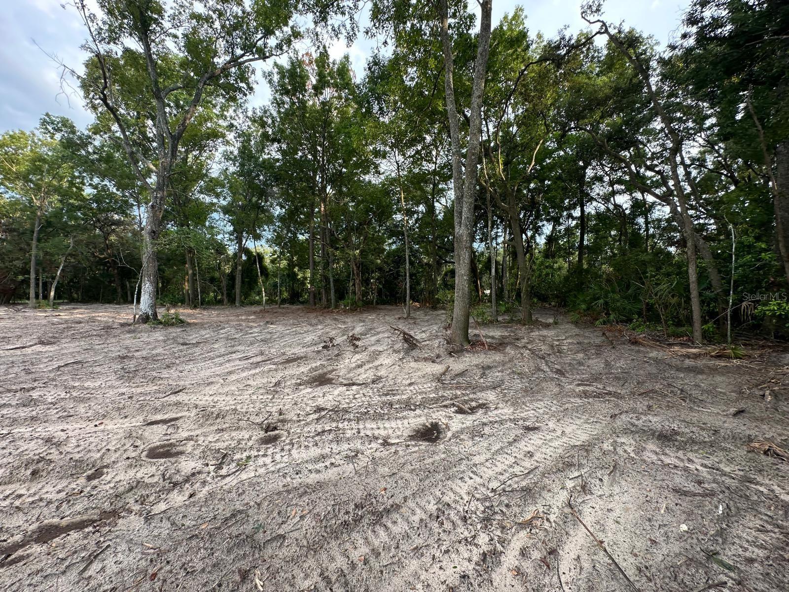 Homes for sale in Chiefland, FL | 00 Nw 115th St, Chiefland, FL 32626 | MLS# O6383111