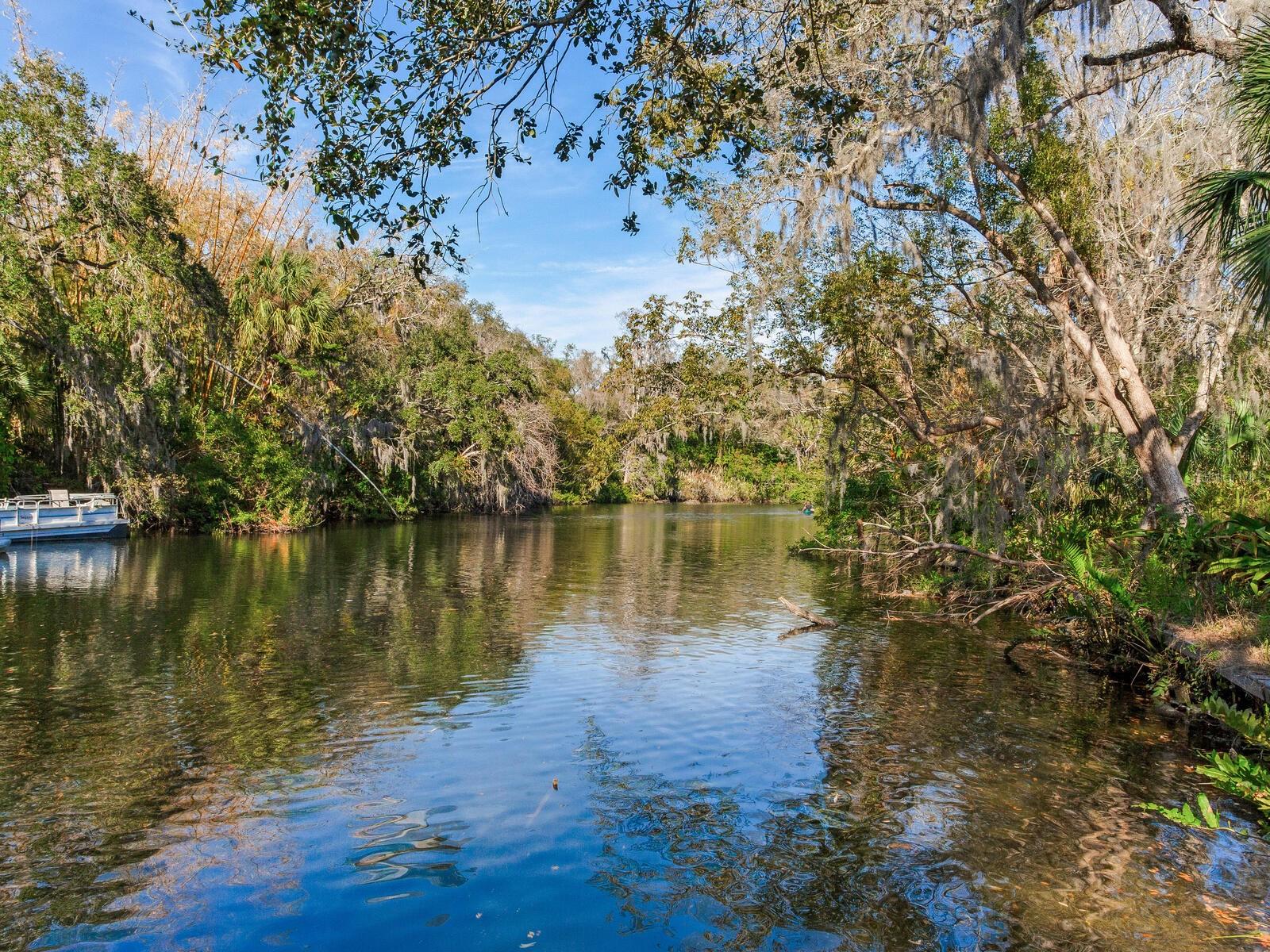 Homes for sale in Tampa, FL | 1214 E Park Cir, Tampa, FL 33604 | MLS# TB8477180