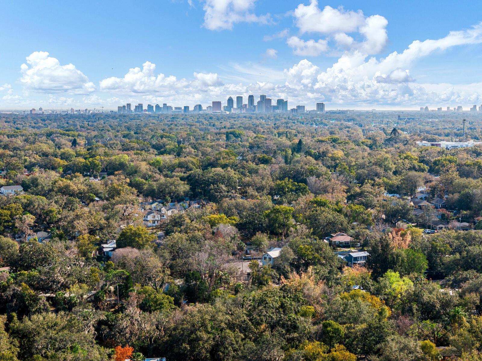 Homes for sale in Tampa, FL | 1214 E Park Cir, Tampa, FL 33604 | MLS# TB8477180